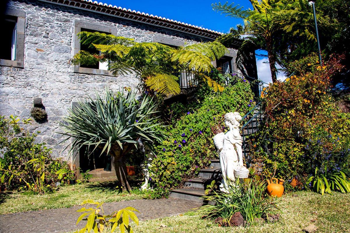 Vila Afonso Estreito de Câmara de Lobos Zewnętrze zdjęcie